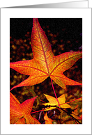 Autumn leaves card