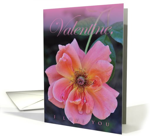 Valentine Love card (550969)