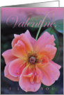 Valentine Love card