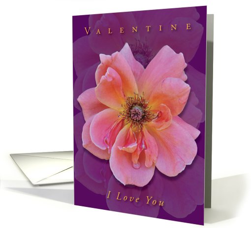Valentine Love III card (553439)