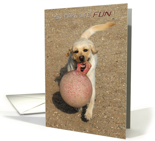 Yellow lab makes life fun retrieving her Jolly Ball card (1171350)
