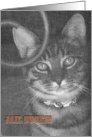 Kitty trapped behind screen card