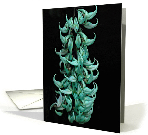 Jade Vine card (905542)