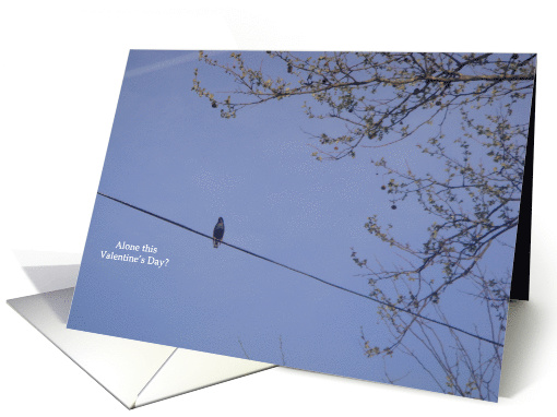 Alone in Valentine's Day card (551311)