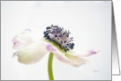 White Flower-Love card