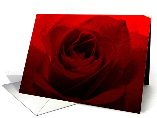 Romantic Red Rose Expression of Love You are the Best Thing card