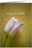 Pink Tulip card