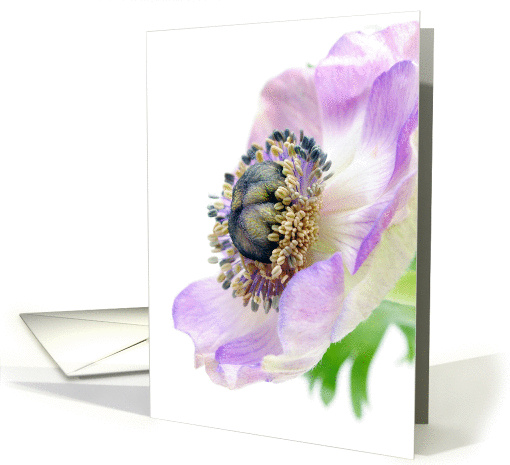 Purple Flower-Romance card (1030589)