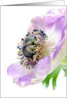 Purple Flower-Romance card