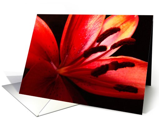 Seduction card (545893)