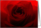 Rose Engagement Announcement card