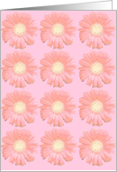 Gerbera Daisy Note Card