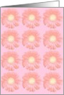 Gerbera Daisy Note Card