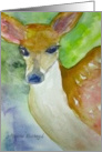 Fawn - blank inside card