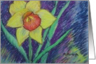 Daffodil - blank inside card