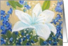 White Lily - blank inside card