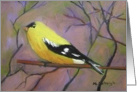 Yellow Bird- blank inside card