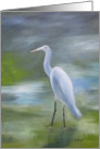 Egret bird art- blank inside card