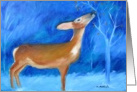 Winter Deer - Happy Holidays card