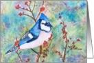 Blue Jay blank inside card