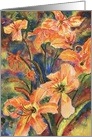 Daylilies - blank inside card