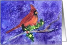 Cardinal In Winter Blank Any Occasion card