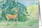 Deer Art Card Blank Inside card