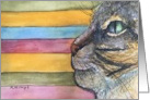 Cat art card blank inside with Stripes card