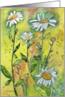 Daisies watercolor blank inside card