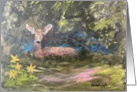 Resting deer Fine Art Blank Inside card