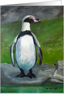 Penguin - Birthday card