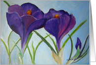 Crocus - February Birthday card