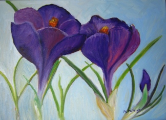 Crocus - February...