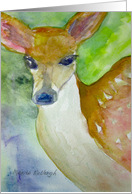 Fawn - blank inside card