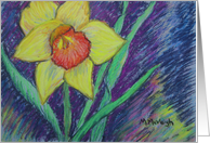Daffodil - Happy Birthday card