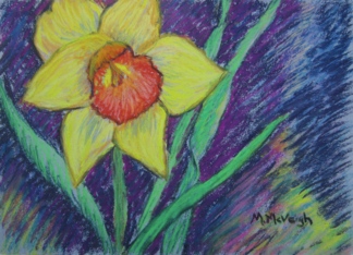 Daffodil - Happy...