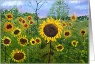 Field Of Sunflowers - Blank Inside card