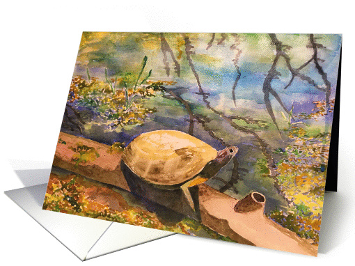 Turtle blank inside card (1462714)