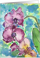 Orchids- blank inside card