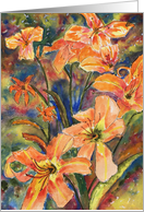 Daylilies - blank inside card