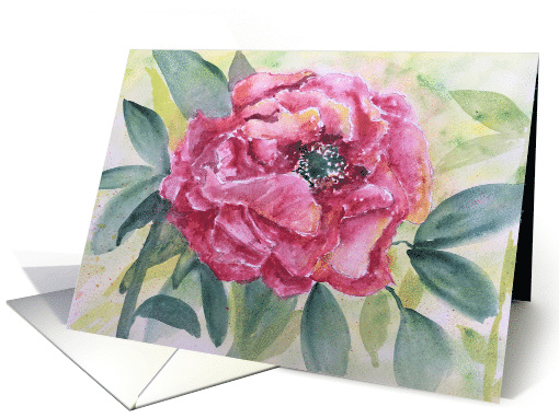 Peony - blank inside card (1532000)