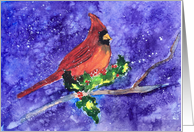 Cardinal In Winter Blank Any Occasion card