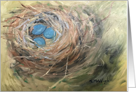 Birds Nest Blank Inside card