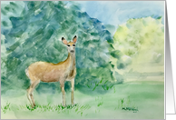 Deer Art Card Blank Inside card