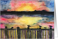 Seagulls At Sunset...