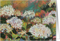 White Hydrangeas blank inside art card