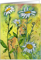 Daisies watercolor blank inside card