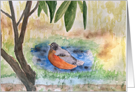Robin Redbreast Fine Art Blank Inside card