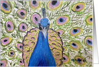 Peacock Fine Art Blank Inside card