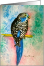 Pretty Bird card